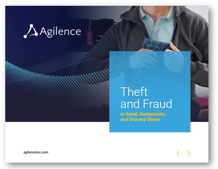 Theft and Fraud eBook Cover-1